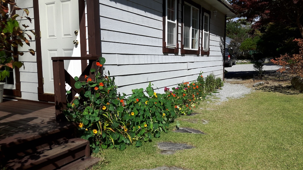 Starvill Pension 41/50
