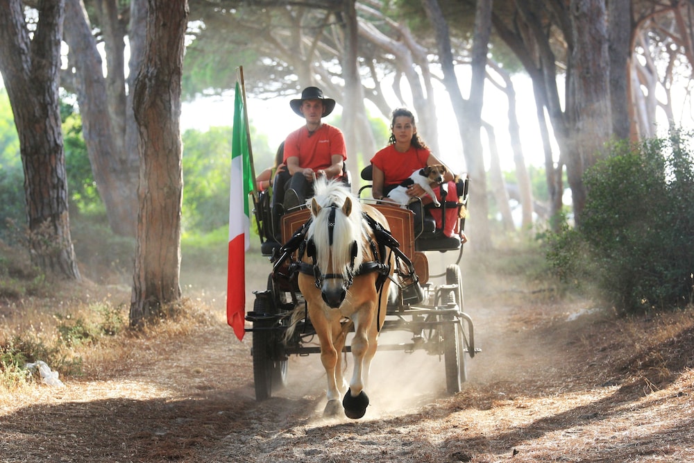 Horse Country Resort Congress & Spa 31/50