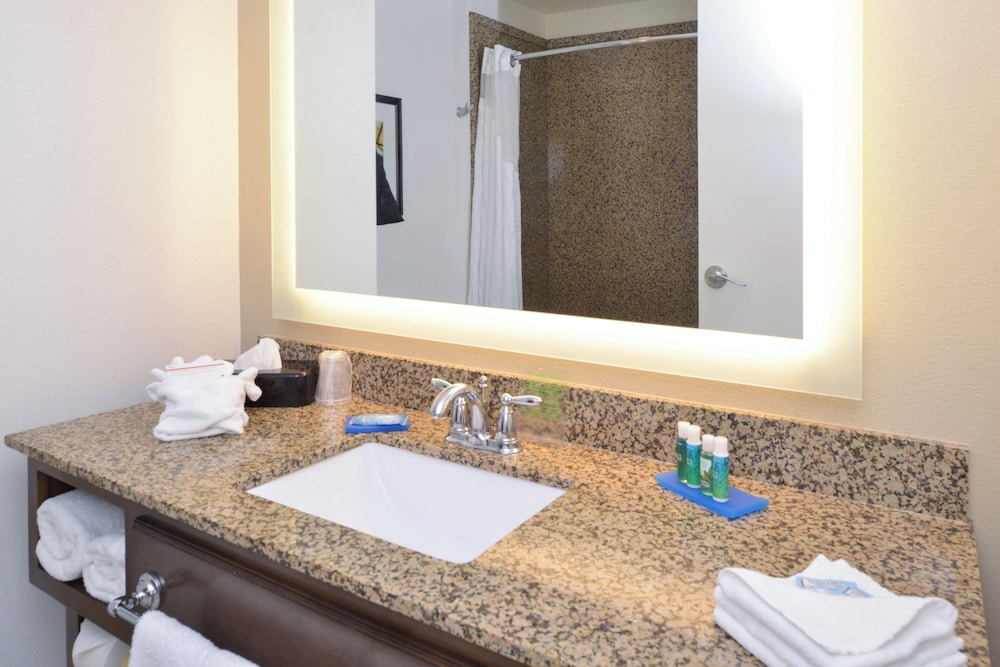جناح بسرير كينج لذوي الإعاقة، Holiday Inn Express Suites Pocatello 8/8