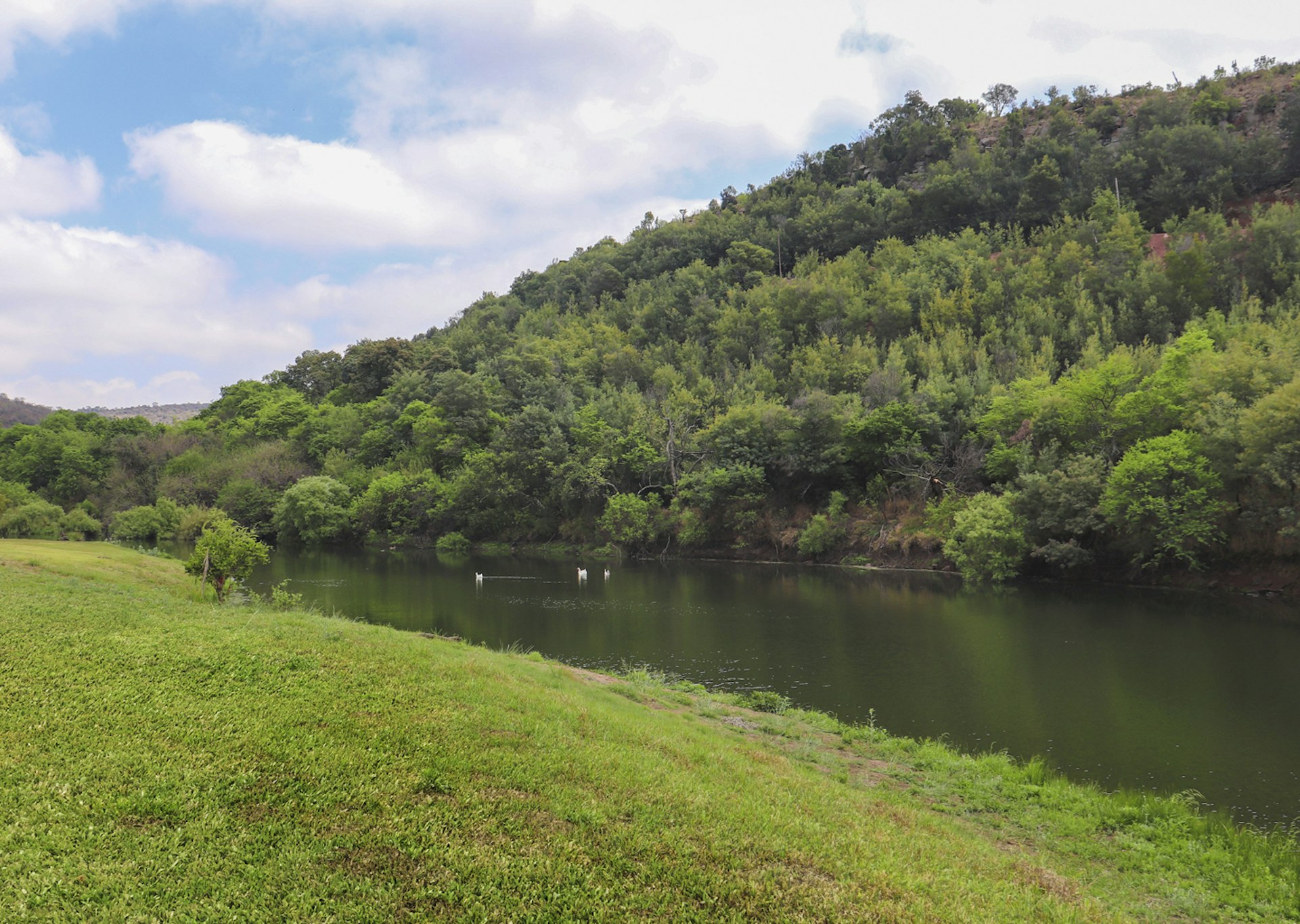 Olifants River Lodge 45/50