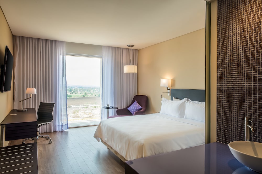 Fiesta Inn Silao Puerto Interior 11/72