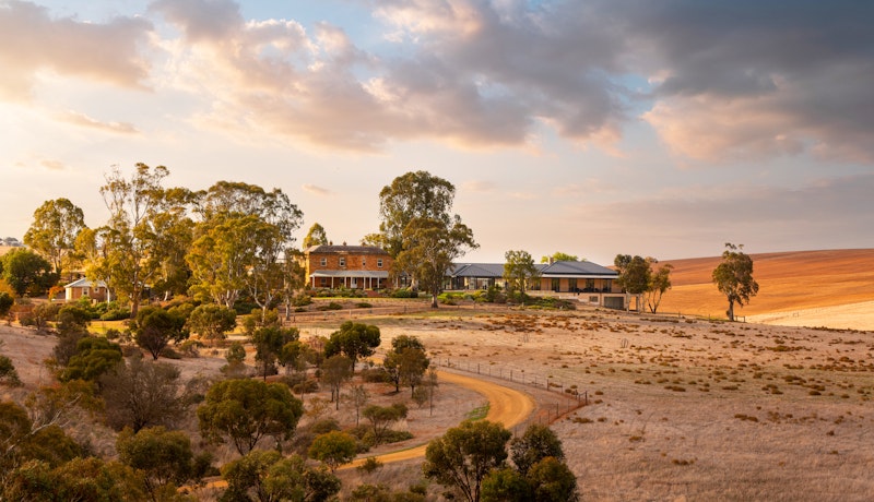 Kingsford the Barossa 14/19
