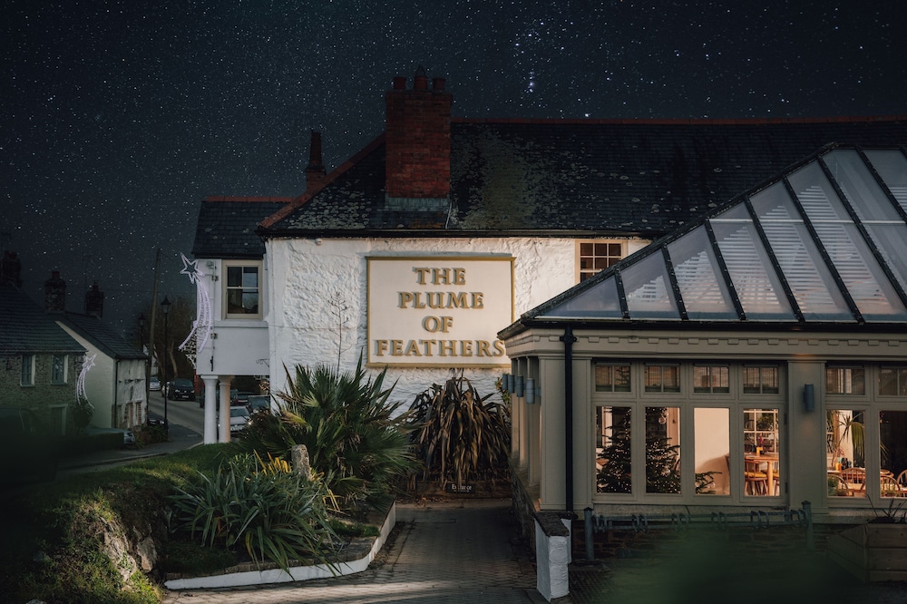 The Plume Of Feathers 71/79