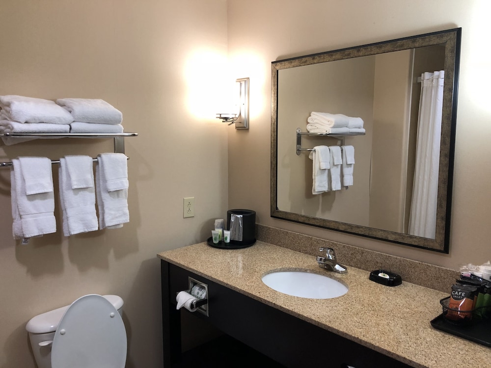Best Western Plus Goodman Inn & Suites 16/31