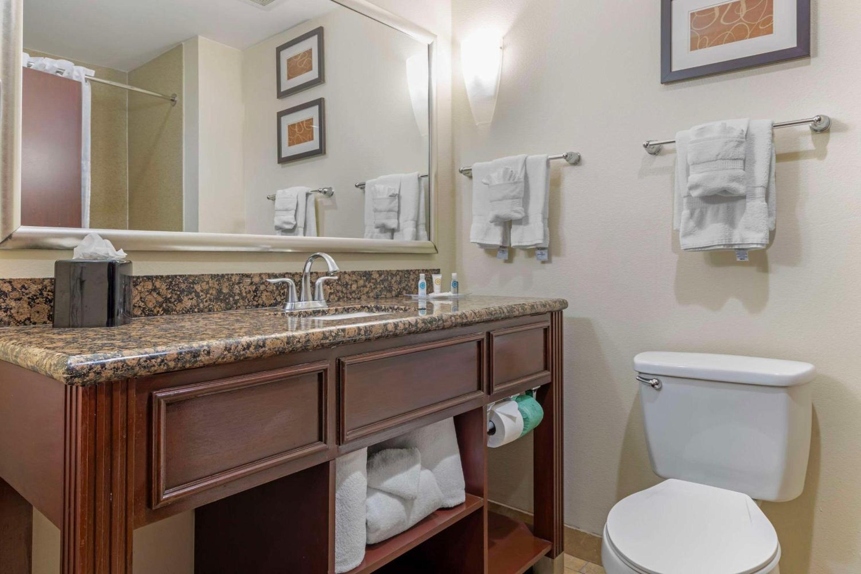 جناح بسريرين كوين مع أريكة لذوي الإعاقة، Comfort Suites West Dallas Cockrell Hill 3/3