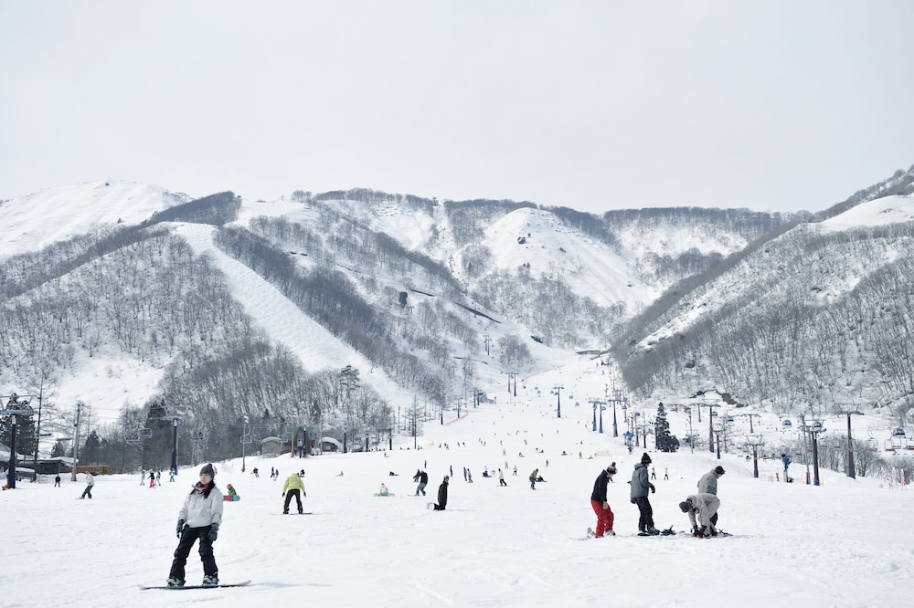 Hakuba Park Hotel 26/28