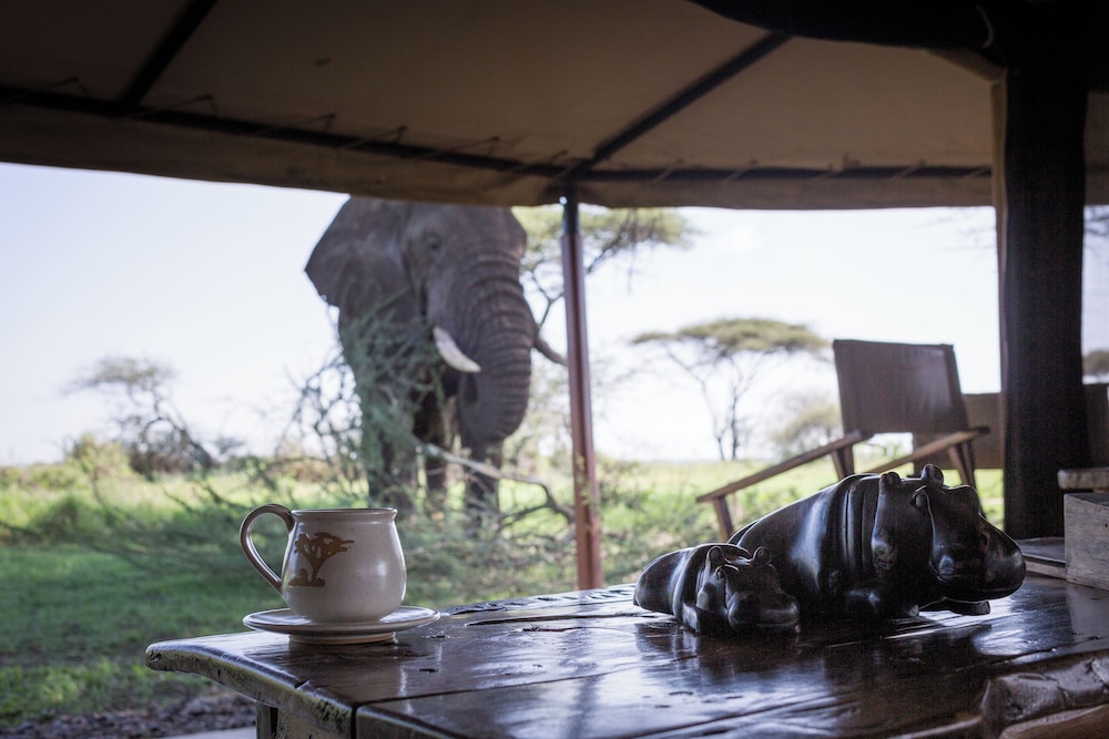 Mawe Luxury Tented Camp 16/50