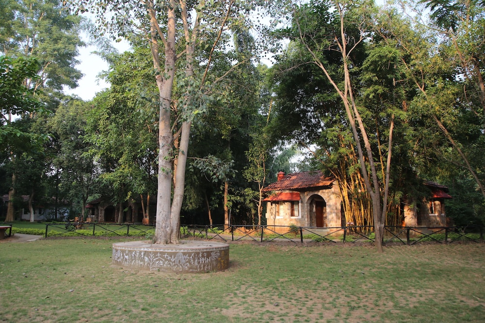 Mogli Jungle Resorts 33/47
