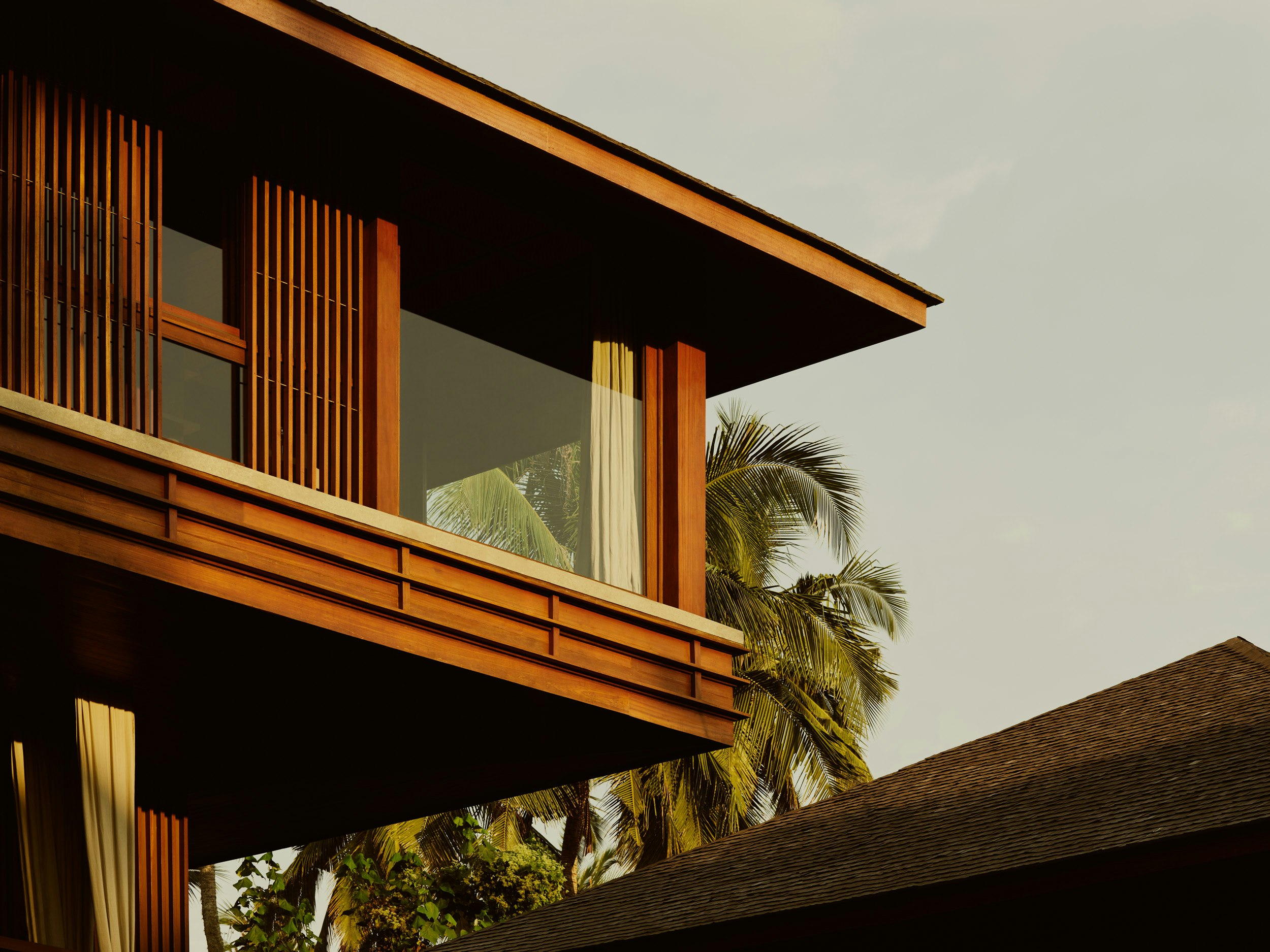 Jungle, Panorama, Suite