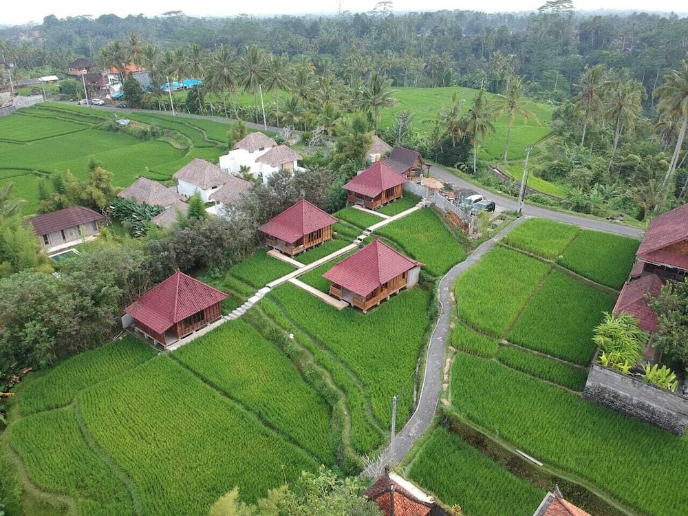 Ubud Sawah Homestay 34/50