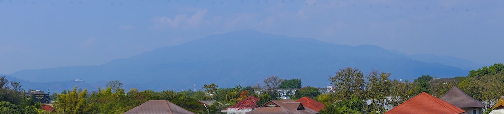 Macasa 19/19