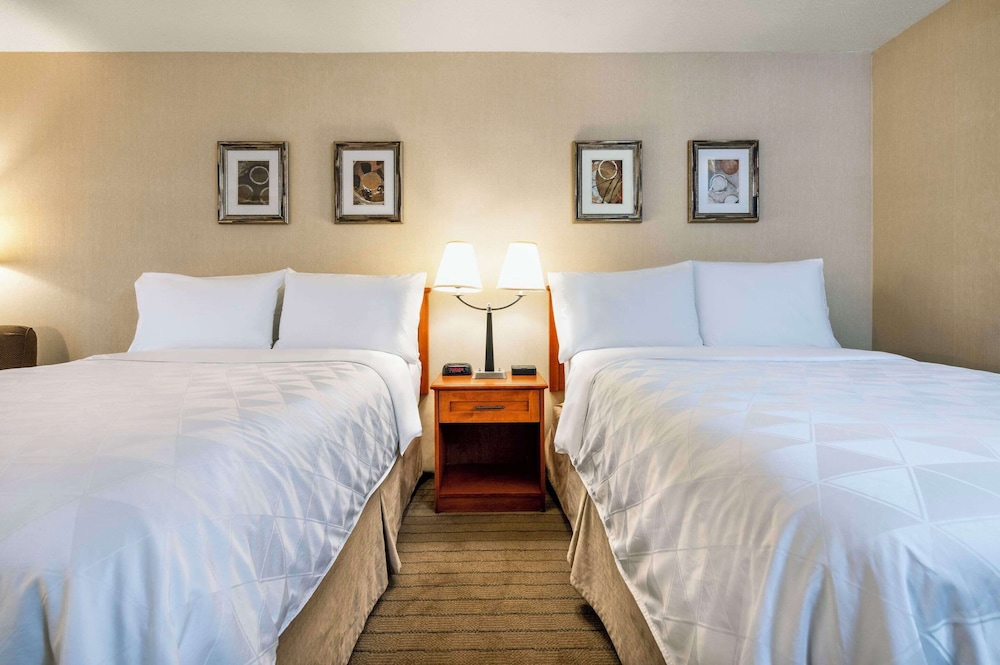 Allure Hotel & Conference Centre 10/50