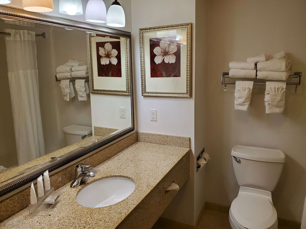 Country Inn & Suites by Radisson, Braselton, GA 9/33