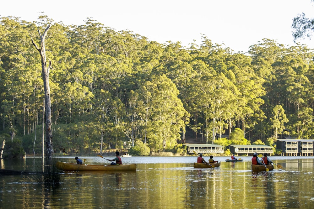 Karri Valley Resort 34/50
