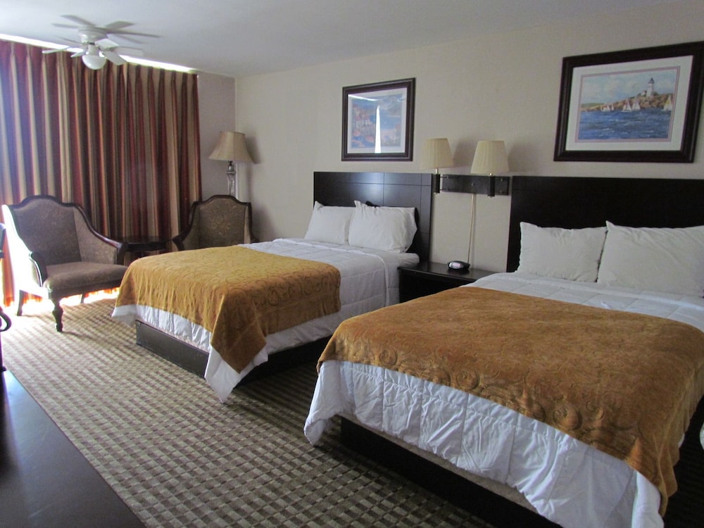ROMANA HOTEL 8/25