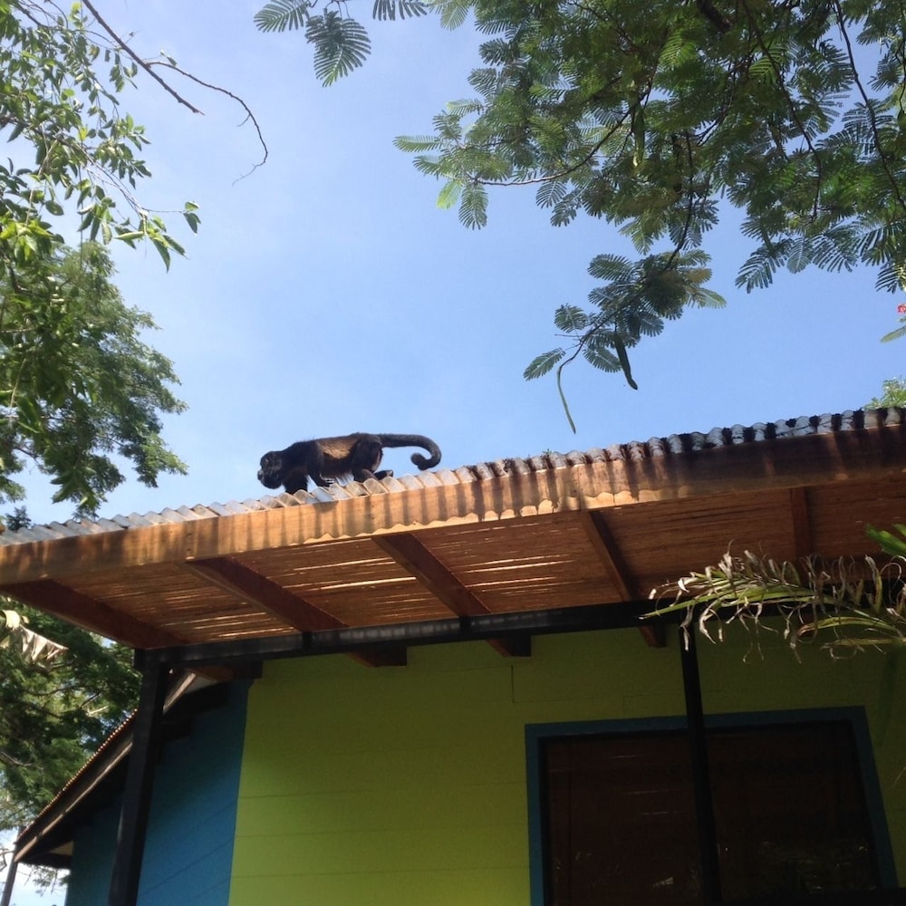 Hotel Tamarindo Village 3/74