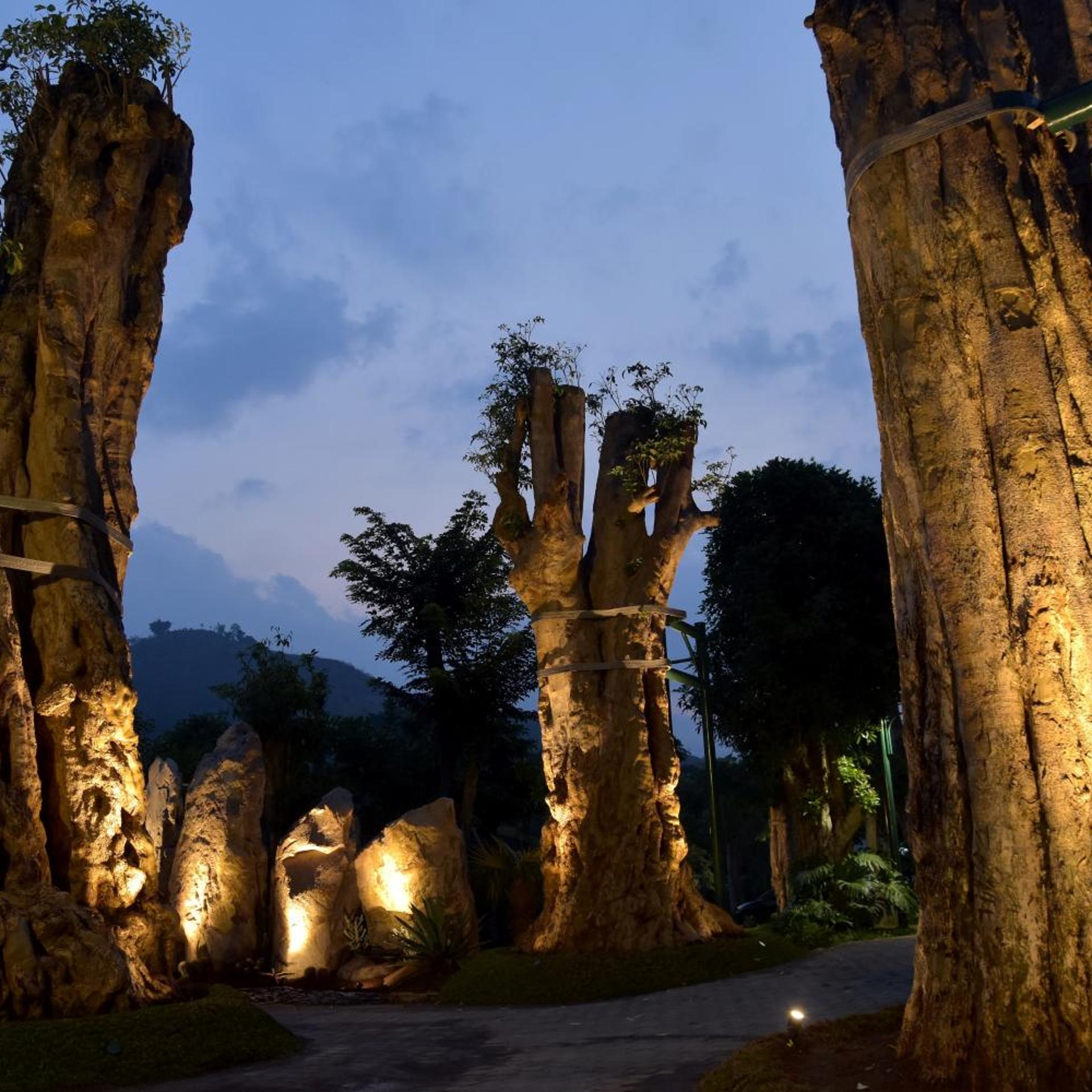 Sarga Earthing Resort 47/50