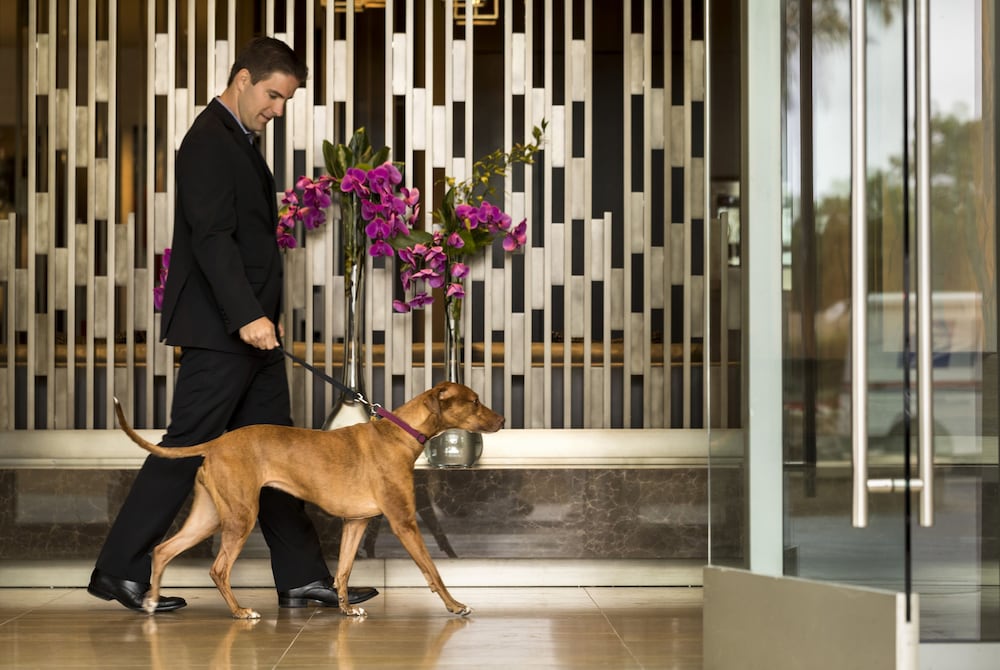 Four Seasons Hotel Silicon Valley At East Palo Alto 5/49