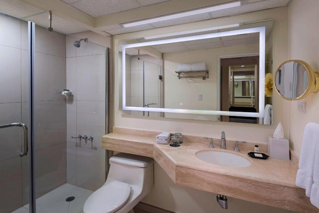 Sheraton, Guest Room, Single, King Bed, Balcony, Club Floor, High Floor