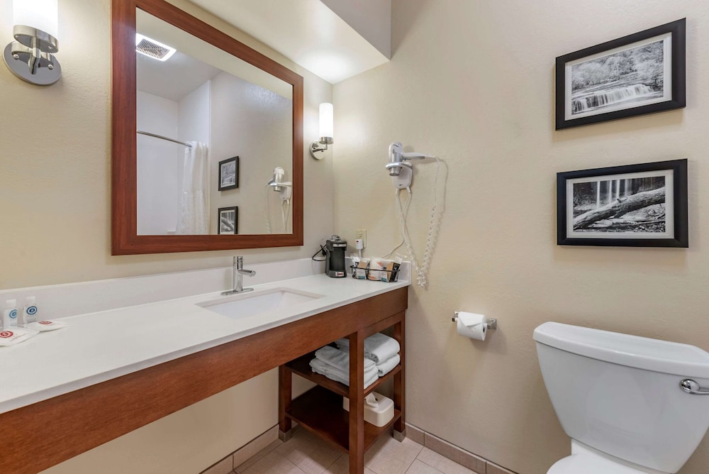 Comfort Inn Crawfordsville 15/33