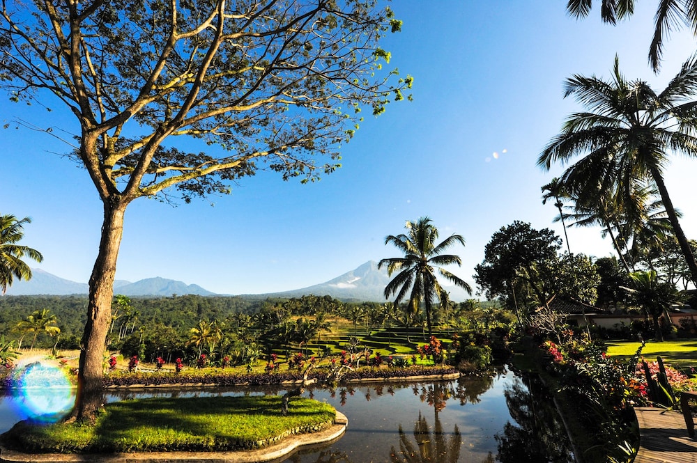 Ijen Resort 49/65