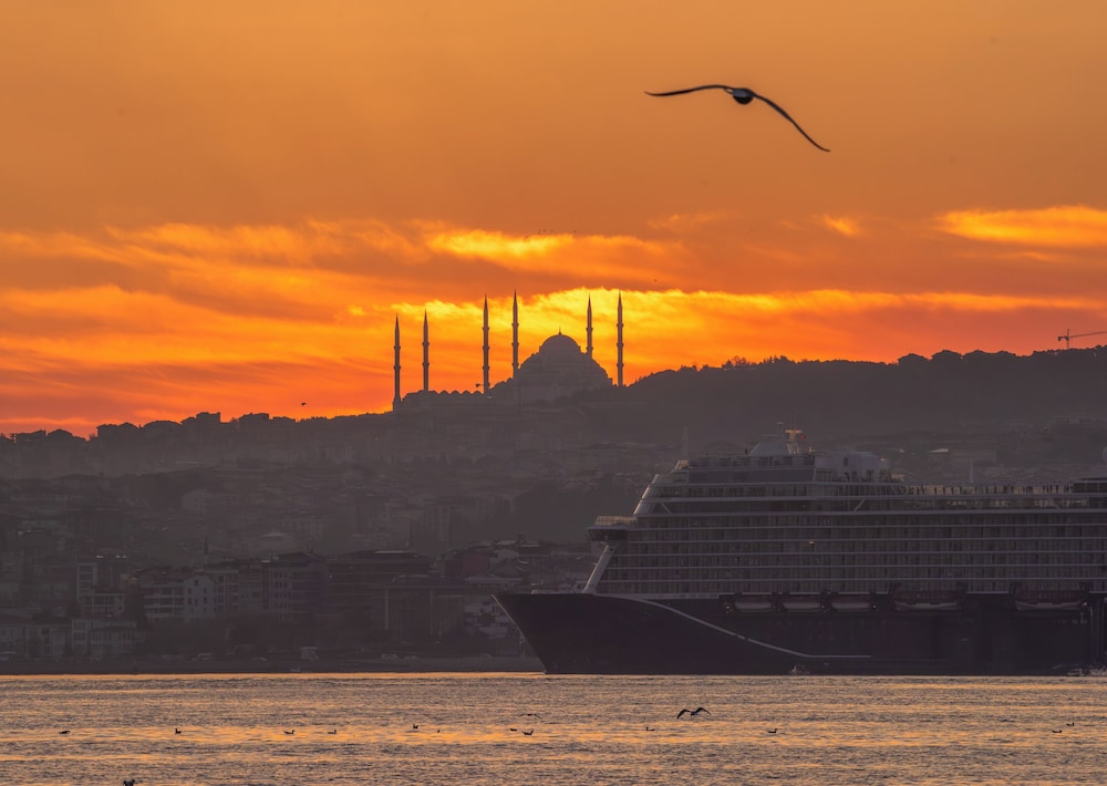 Momento Golden Horn 66/70