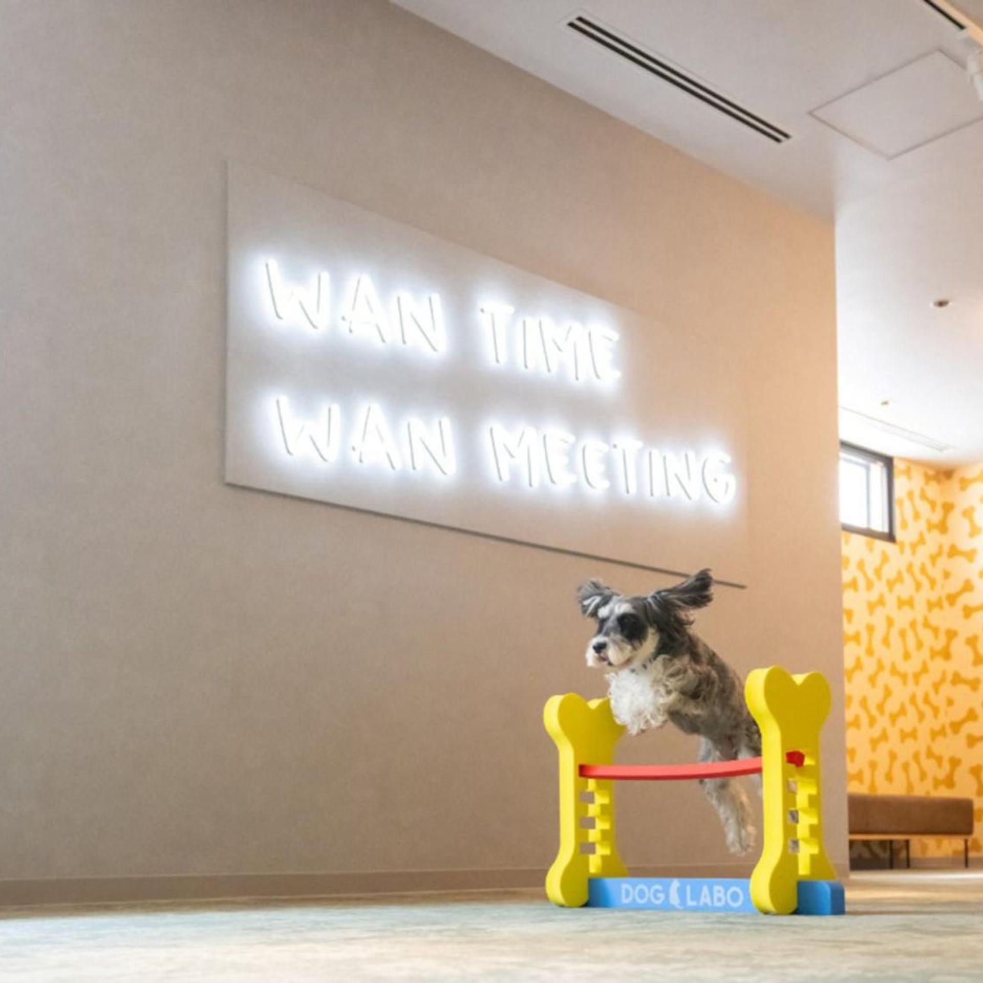 hotel anddoggy Kyoto Nijo 42/50