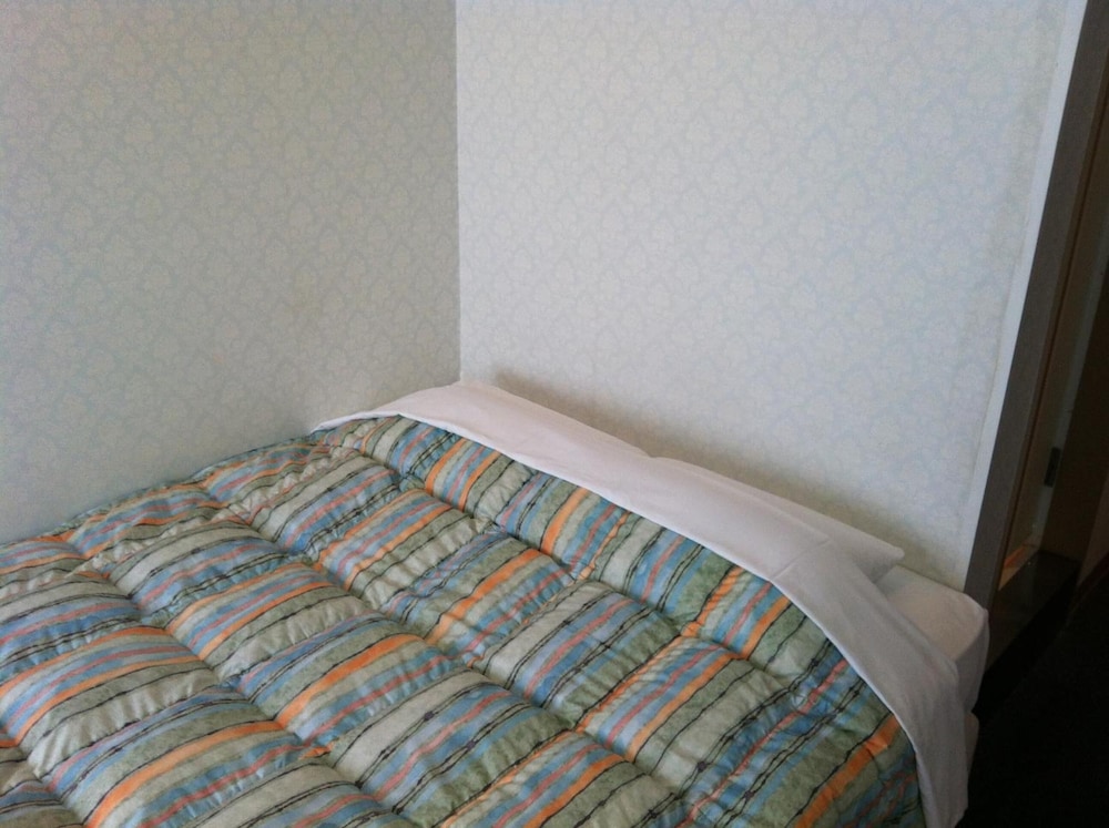 Enagic Okinawa Kokusai Plaza Hotel 30/50