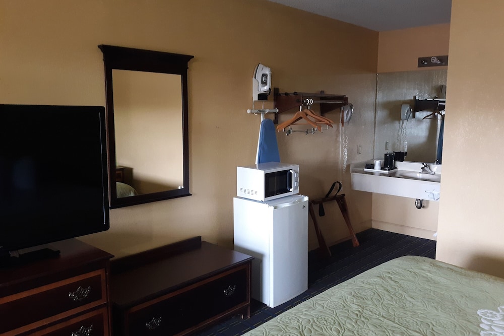 OYO Hotel Williamston 25/48