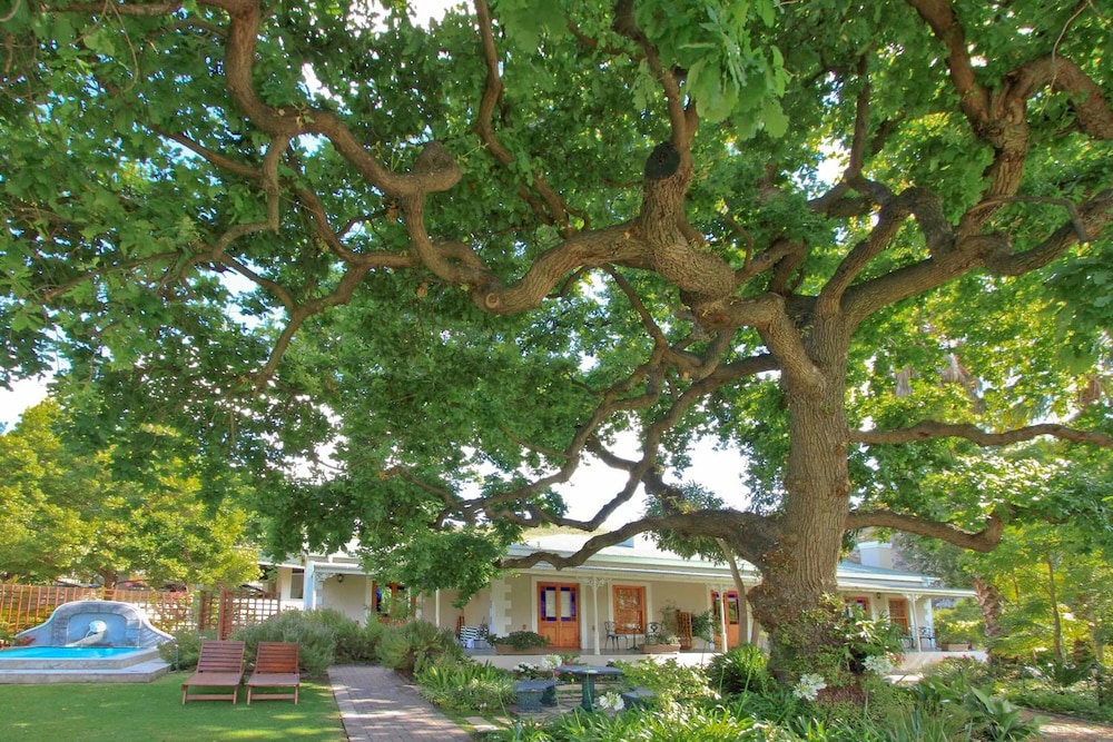 Montagu Vines Guest House 33/50