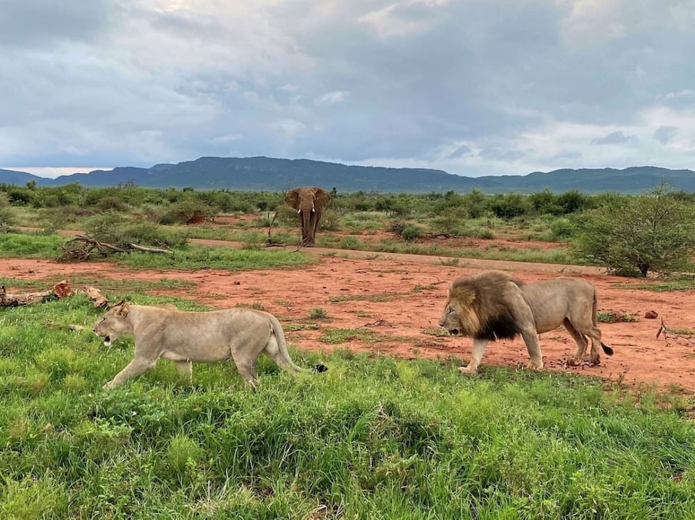 Motswiri Private Safari Lodge 61/67
