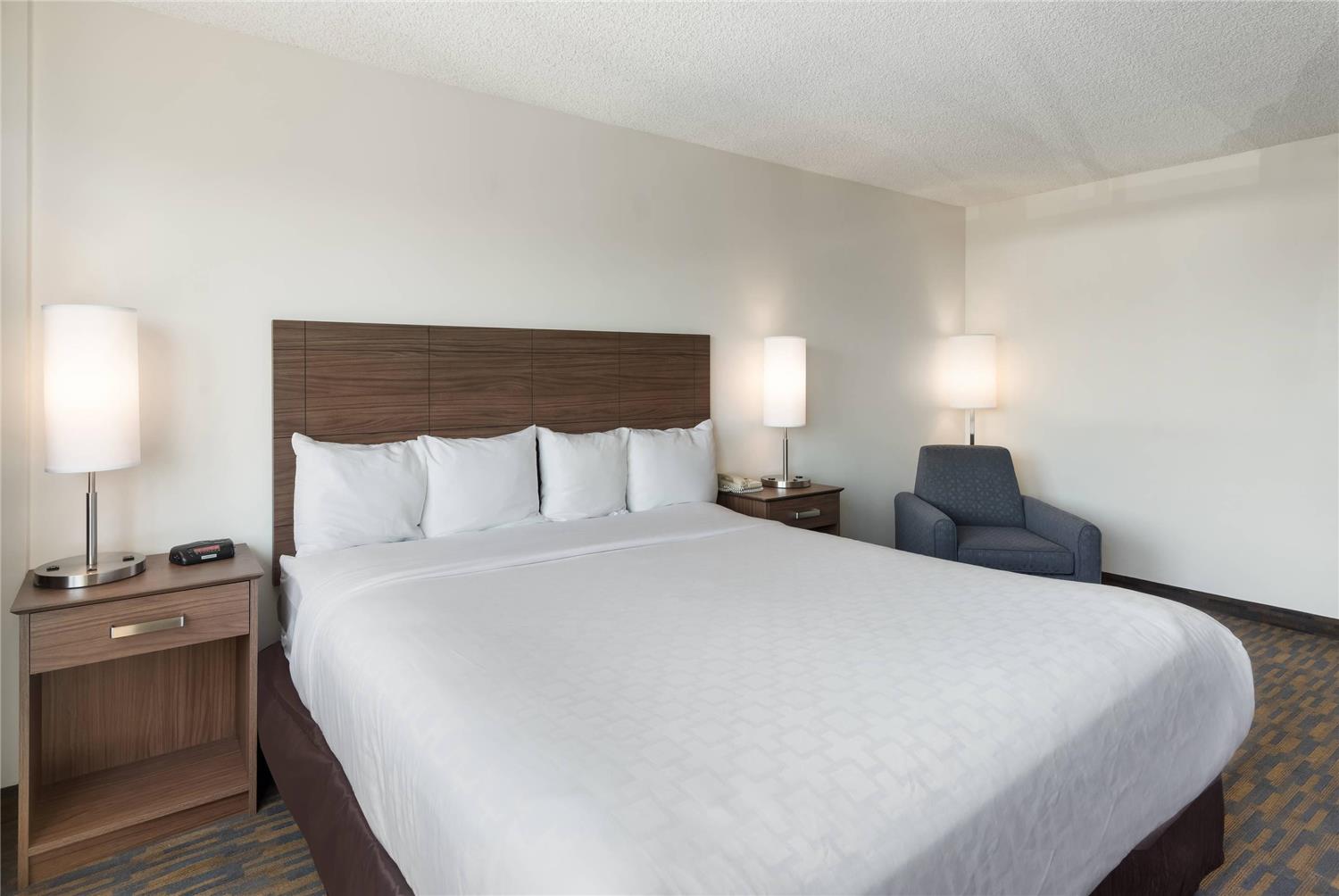 Room, Queen Bed