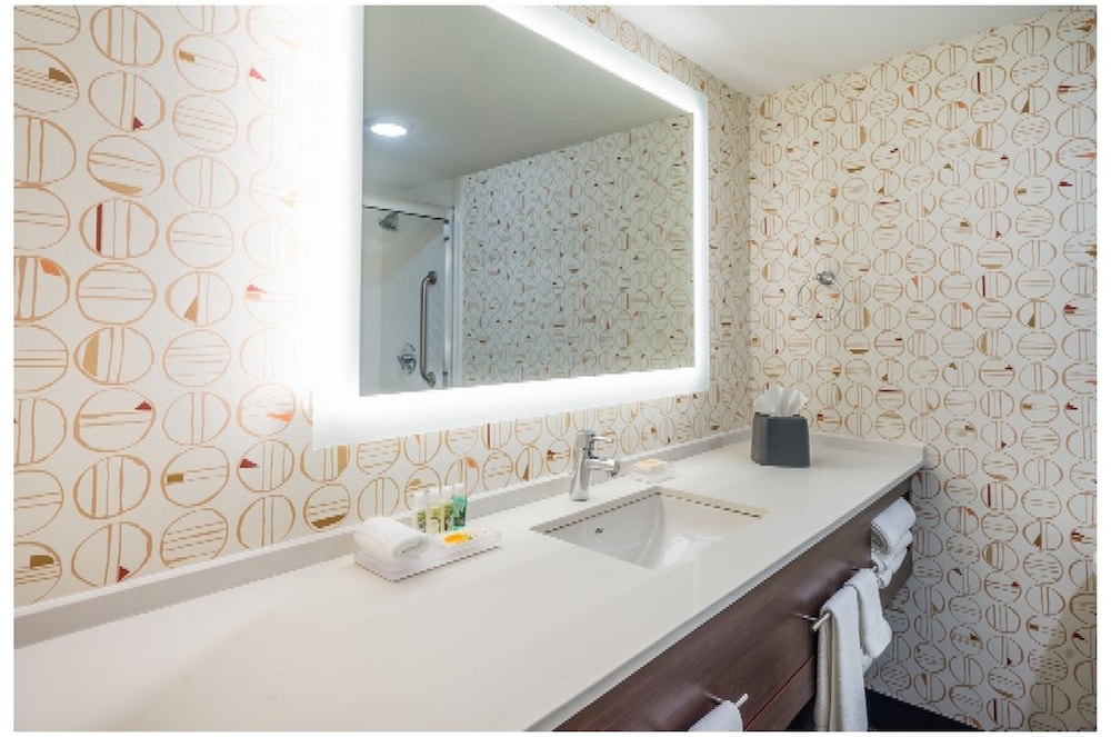 Holiday Inn Roanoke Airport-Conference CTR 17/60
