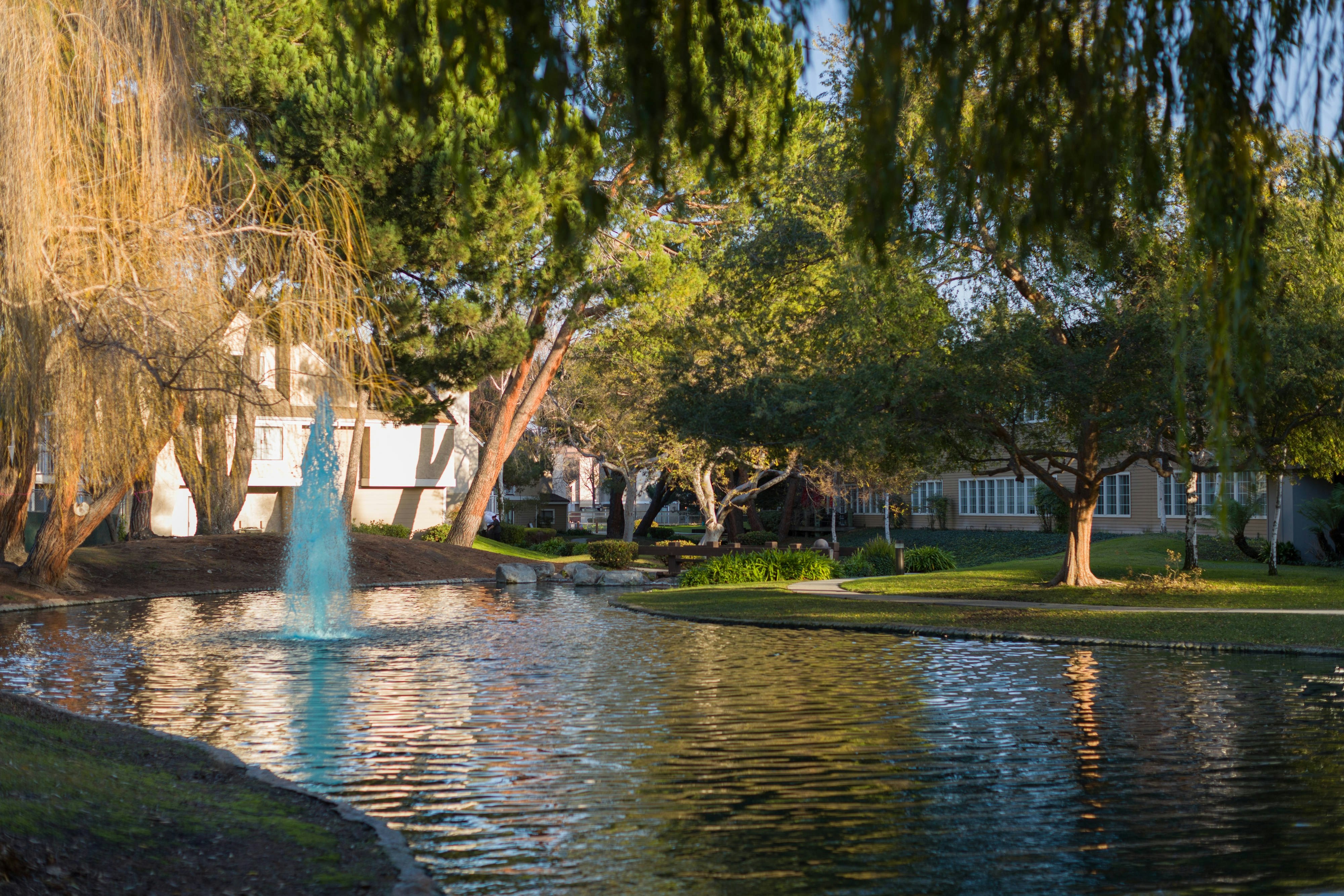 Residence Inn by Marriott Silicon Valley Sunnyvale I 10/11