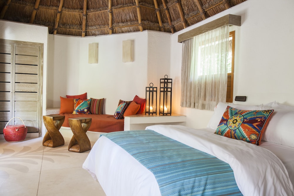 OASIS, PALAPA