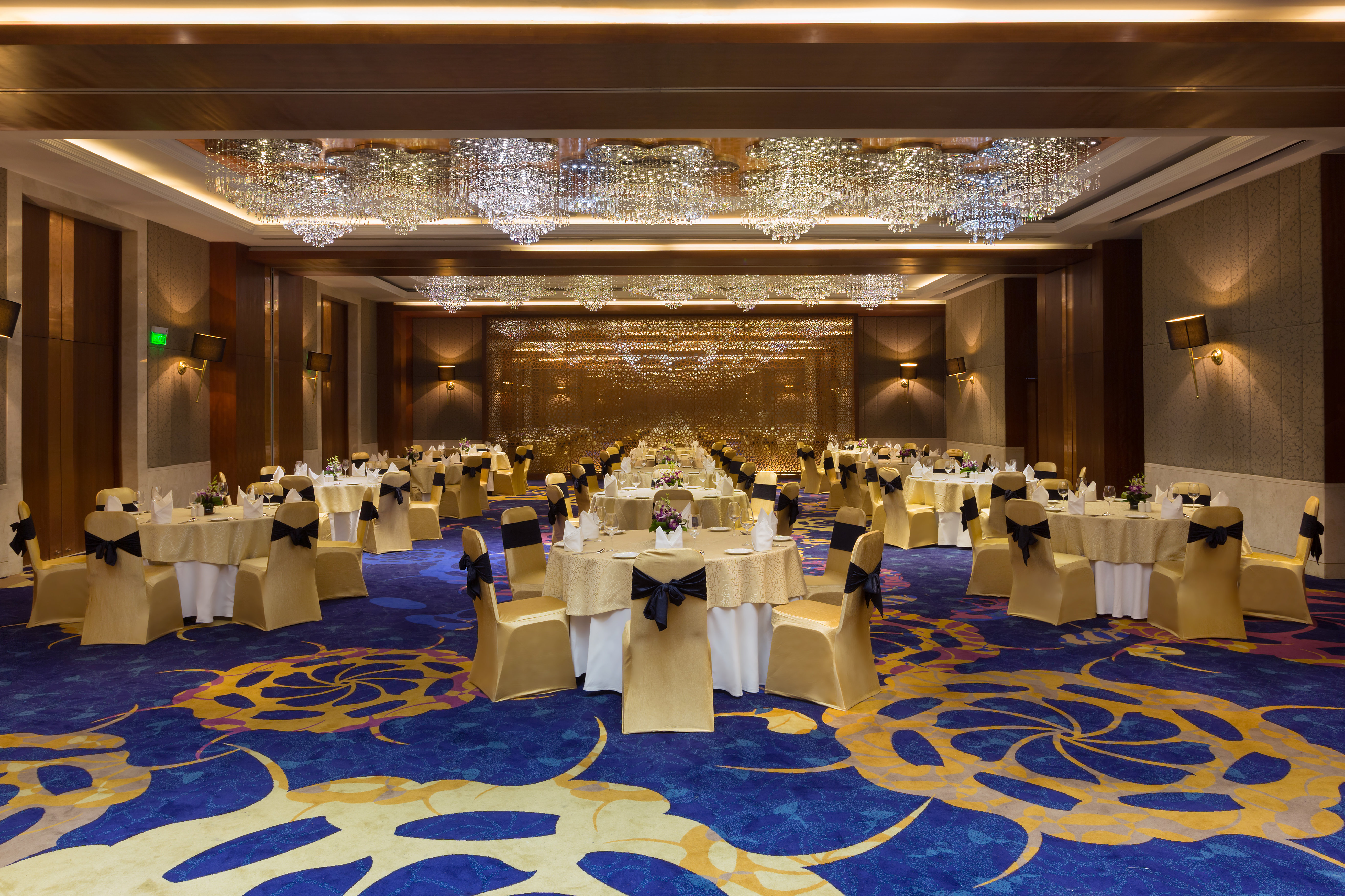 Holiday Inn Jaipur City Centre by IHG 42/50