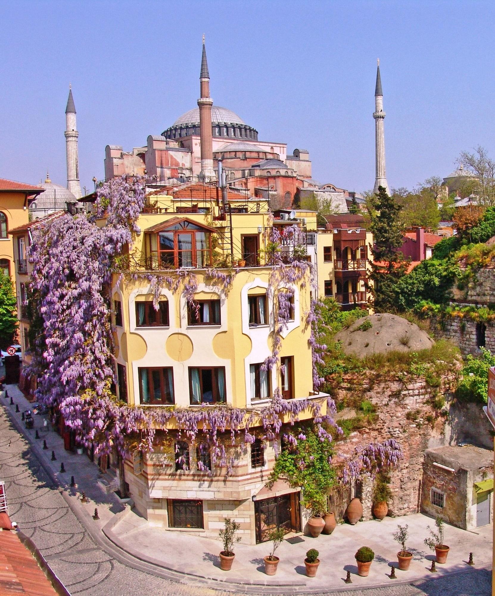 Hotel Empress Zoe 2/100