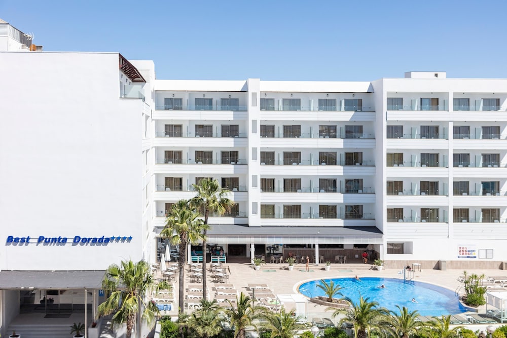 Best Punta Dorada 1/50