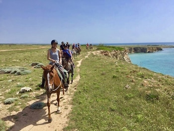 Horse Country Resort Congress & Spa 36/50