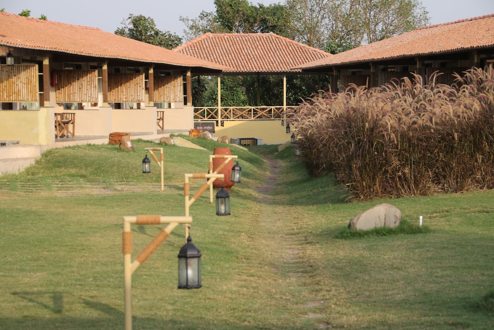 Asiatic Lion Lodge 48/50