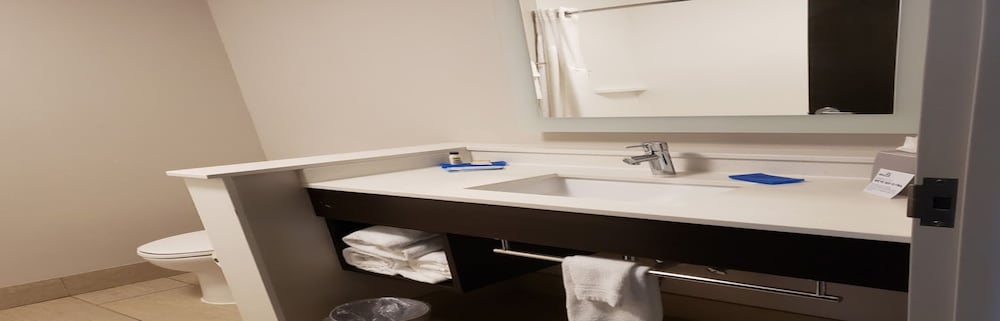 Holiday Inn Express Suites Tampa East Ybor City 23/56