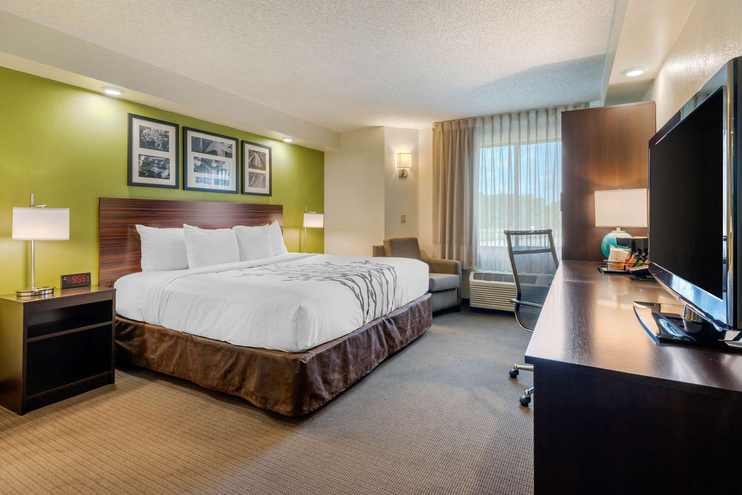 Room, King Bed