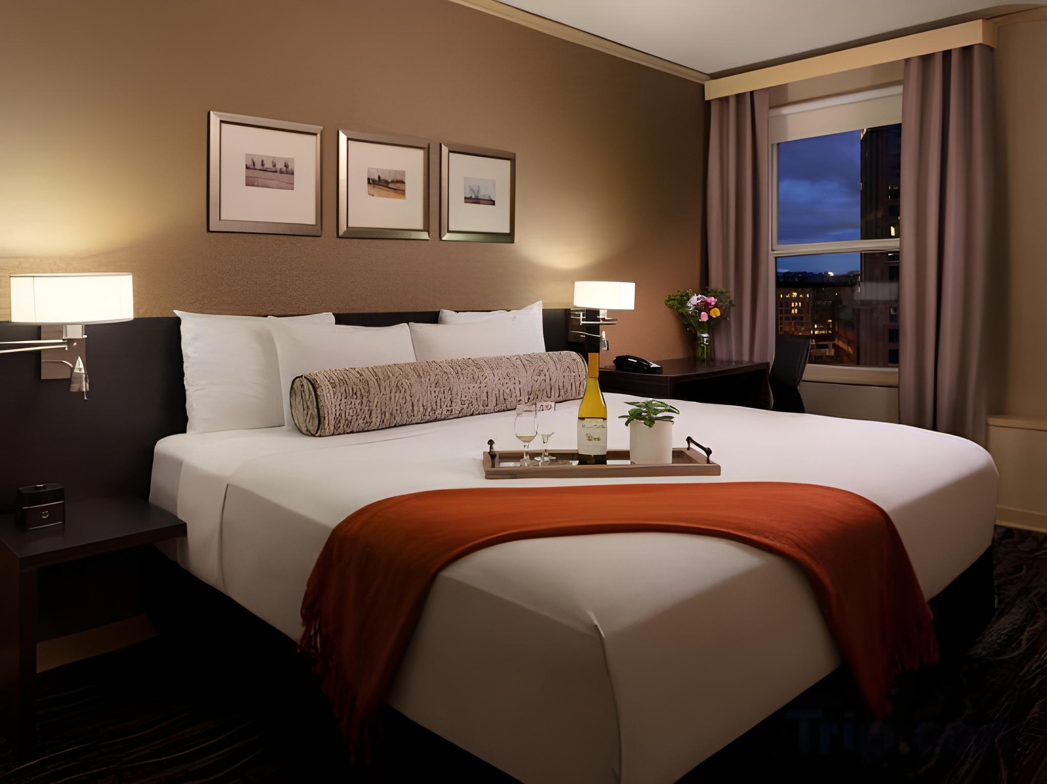 Family Suite, Executive, Sofa