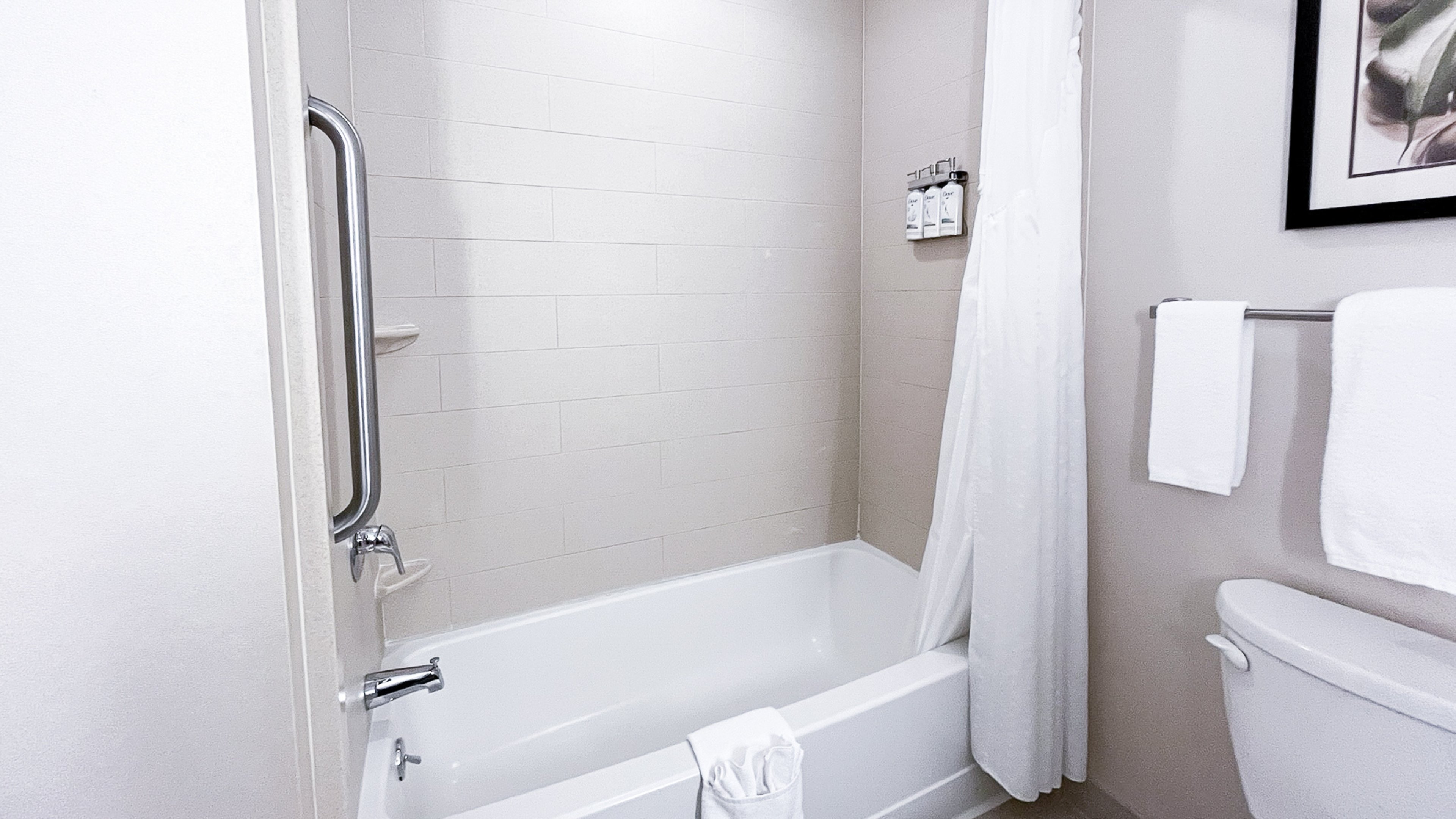 Holiday Inn Express Hotel And Suites Morton Peoria Area 69/70
