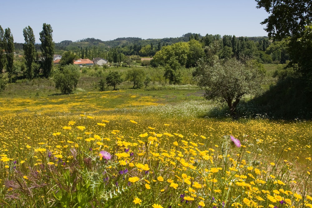 Quinta da Alcaidaria-Mor 37/50