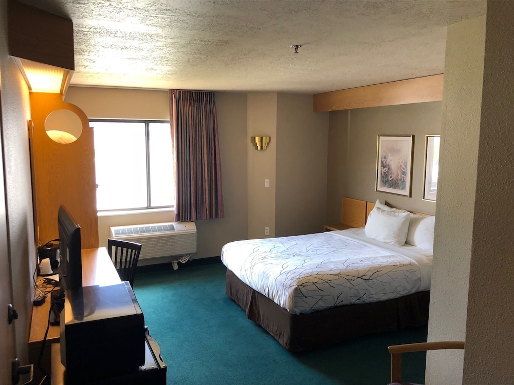 Willow Creek Inn 20/50