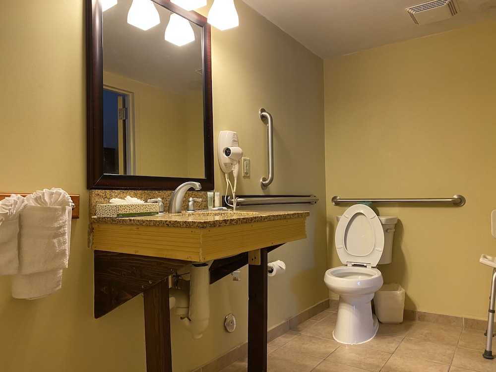 Quality Inn Flamingo 23/40