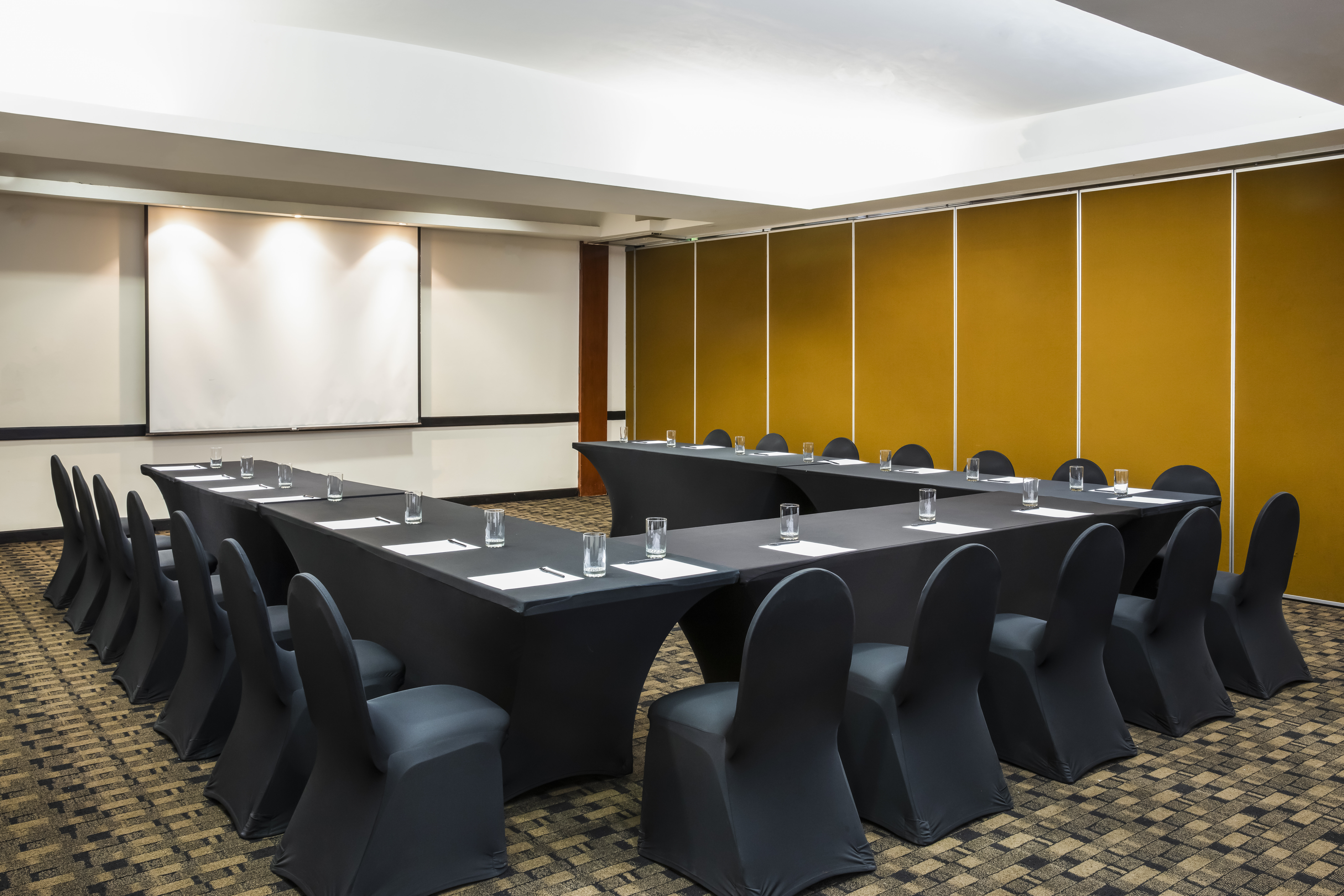 Fiesta Inn Express San Luis Potosi Oriente 37/50