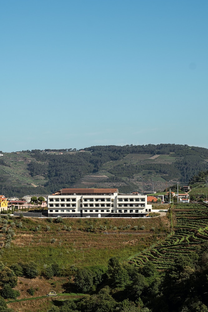 Mw Douro 4/50