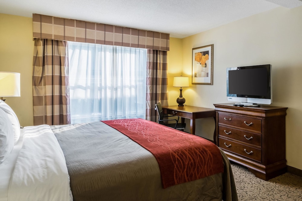 Comfort Inn & Suites Dover near Speedway 11/56